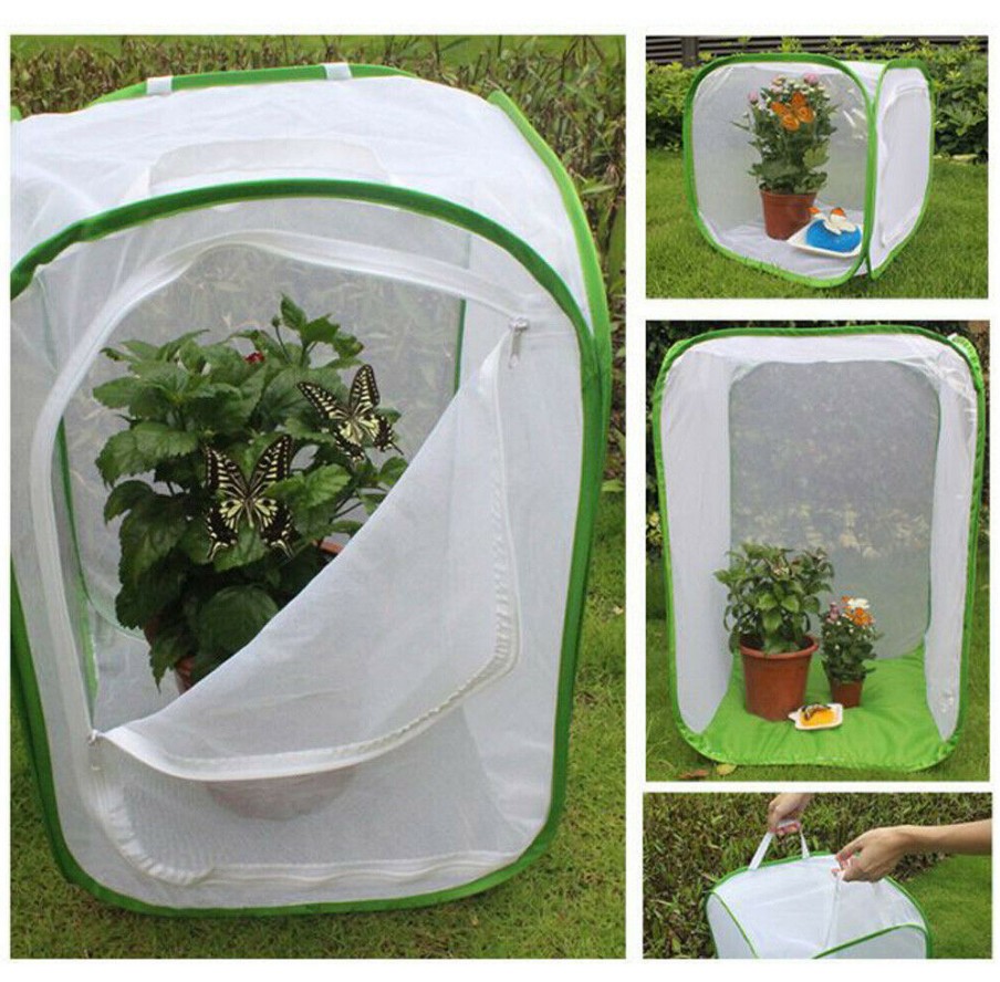 OKUMEYR Schmetterlingskäfig 60x33x30cm - Transparenter Zuchtkäfig Mit Reißverschluss