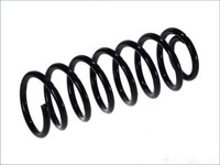 Magnum Technology Federn Fahrwerksfedern Hinten SA044MT