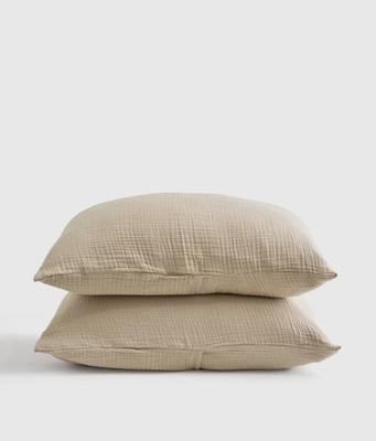 NWOT Quince STANDARD Organic Airy Gauze Sham Set 2 DUNE