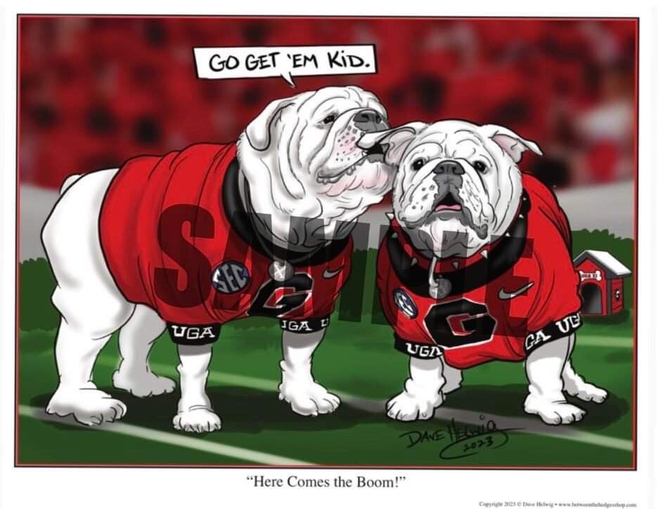 Georgia Bulldogs Football 2023 