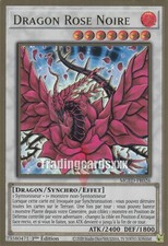 Yu-Gi-Oh! Dragon Rose Noire : PGR MGED-FR026 V.1