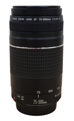 Canon EF 75-300mm f/4-5.6 III Telephoto Zoom Lens   Tested, Excellent Condition
