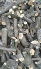 LEGNA DA ARDERE DI ULIVO 100 Kg IN TRONCHETTI DA 25/30 cm PER CAMINO, STUFA.
