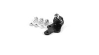 Traggelenk FüHrungsgelenk SKF Vkds 314015 FüR Ford Focus 3 Turnier MAX 2 DXA CB7
