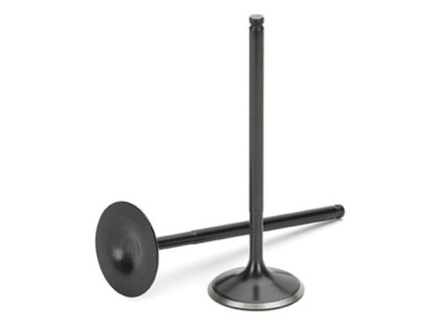 Supertech BMW M50/M52/S50/S52 Black Nitrided Intake Valve - Set of 12 ...