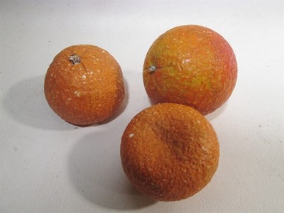 3 Older Italian Alabaster Stone Fruit Natural Size Citrus Oranges