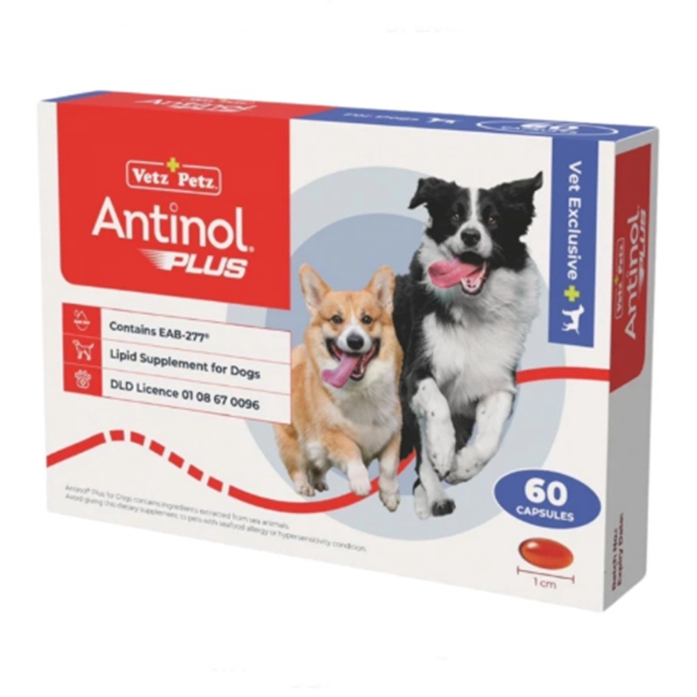 For Dog Antinol EAB 277 Vetz Petz Supplement Nourish Joints
