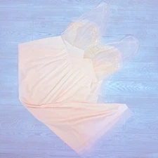 Rare Vintage lace sheer embroidered vanity fair plus size night gown nighty lg