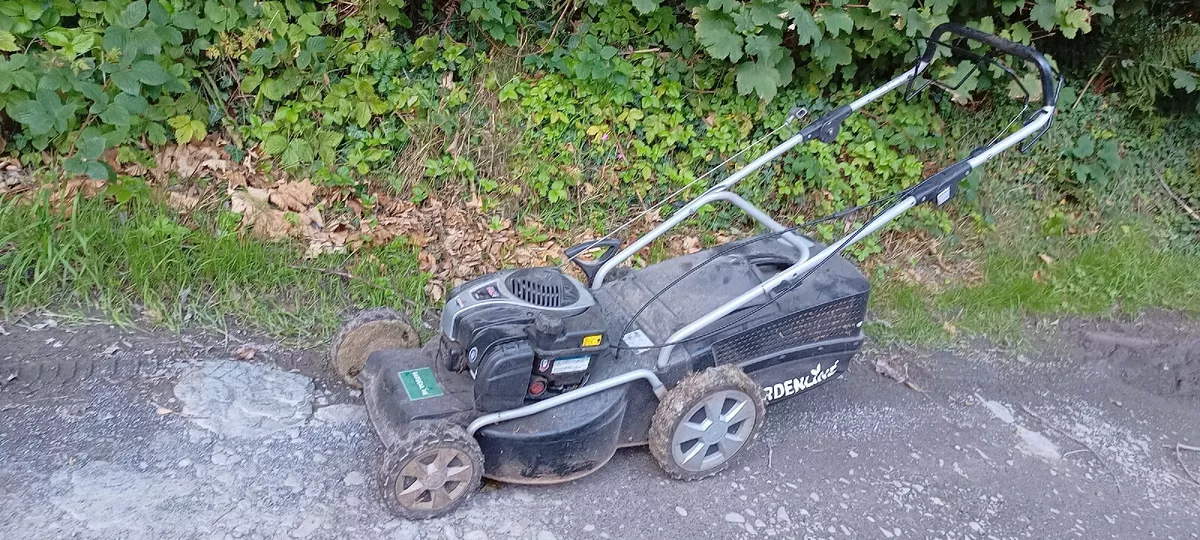 Gardenline mower 2024