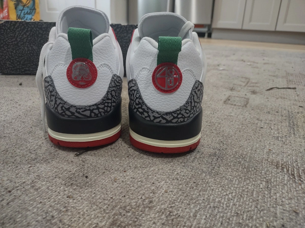 Air Jordan Spizike Low SE Do The Right Thing Herren Größe 11 Neu ohne Karton IM7425-100
