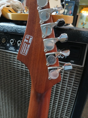 IVY ACOUSTIC electric guitar IJGAP-200 Semi Hollow Electric