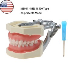 US Dental fit Kilgore NISSIN 200/500 Type 28Pcs Screw-in Teeth Typodont Model