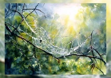 Dewy Spider Web 5"x7" Print on Matte Paper | Serene Forest Watercolor Painting