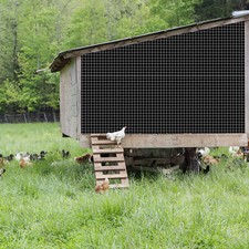 36"/48" x 100ft/50ft Hardware Cloth 1/4" Welded Wire Galvanized Mesh Fence Roll