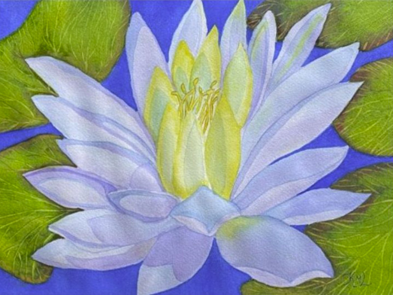 PAINTING WATERCOLOR 11X14 WHITE MAT 16X20 FLOWER WATER LILY BLUE LAVENDER PURPLE