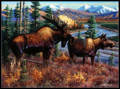 Counted Cross Stitch Kits Needlework Crafts DIY- Deer Elk Moose 3