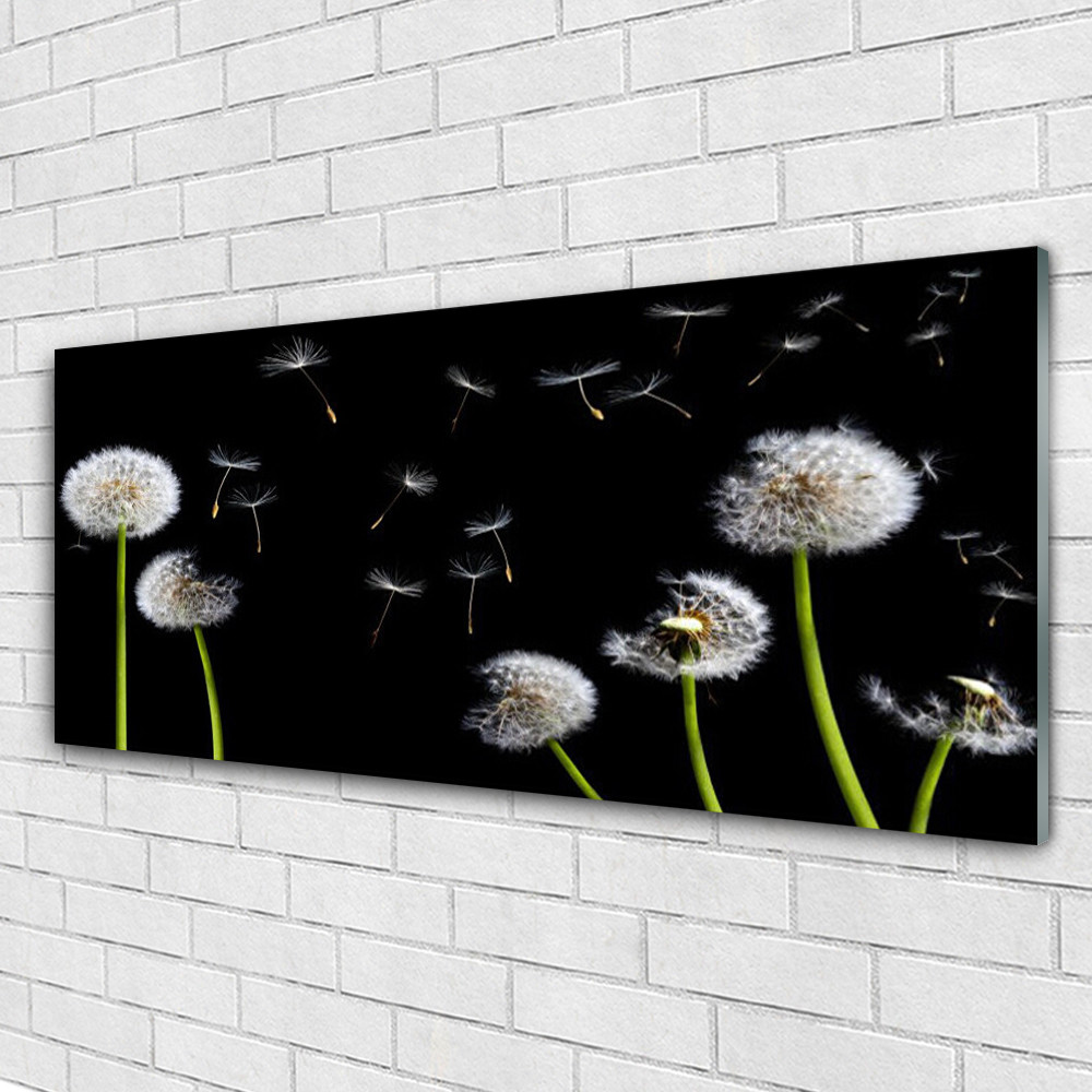 Impression sous verre Pissenlits 125x50 cm finition brillante