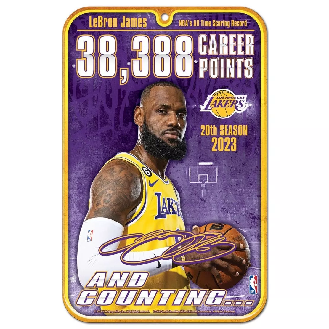 LeBron James Jersey, LeBron James NBA All-Time Points Leader Memorabilia,  Lakers Jerseys, Autographs