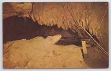 State View~The Alligator~Formation In Seneca Caverns~Riverton West Virginia~Vtg