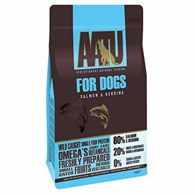 is zucchini bad for dogs