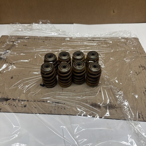 GM LS 243 LS2 LS6 Valve Springs OEM