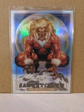 2024 SkyBox Marvel Masterpieces 92 Platinum Sabretooth #78 Rainbow