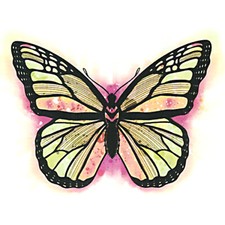 "Nature" Temporary Tattoo, Pink Yellow Butterfly