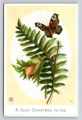 Butterfly Flower Glad Christmas To You P867