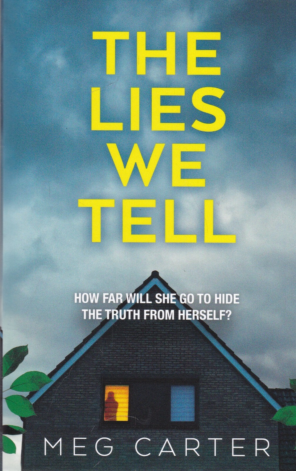 THE LIES WE TELL by MEG CARTER, PAPERBACK BOOK - PSYCHOLOGICAL THRILLER