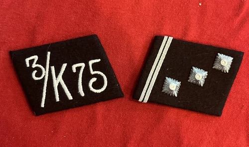 WW2 WWII German Stormtroopers Brownshirts Military collar tabs patches W RZM Tag