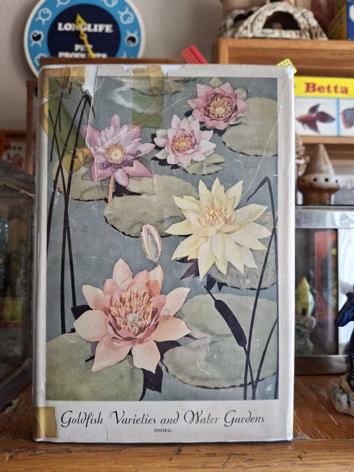 复古水族箱原装 Innes 金鱼品种和水上花园/防尘夹克 — 第 2/4 张图片