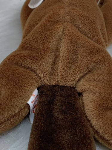 TY Beanie Babies BUCKY the Beaver Plüschtier Sammlerstück aus dem Ruhestand 1995 - Bild 6 von 14