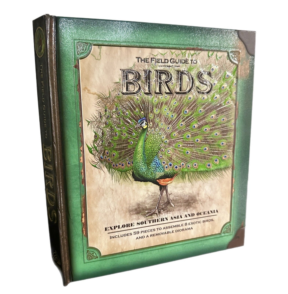The Field Guide to Birds Explore Southern Asia and Oceania Pop Up