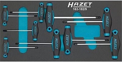 Hazet 163-182/9 9-Piece T-Handle Screwdriver Set Import From Japan