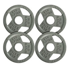 Cast Iron Weight Plates for Strength Training, Fits 2-Inch Barbell