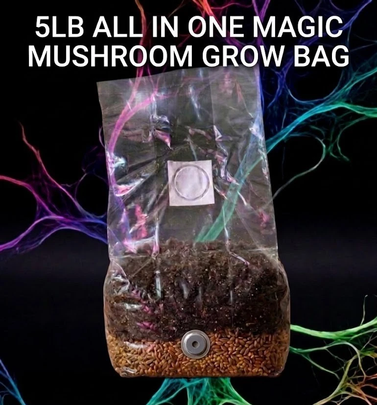 Mushrooms, Spawns & Kits for sale - eBay