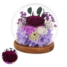 Preserved Roses Real Flowers in Glass Gifts for Purple