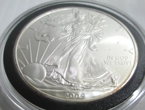 2009 American Eagle Walking Liberty $1 Coin 1 oz .999 Fine Silver Uncirculated