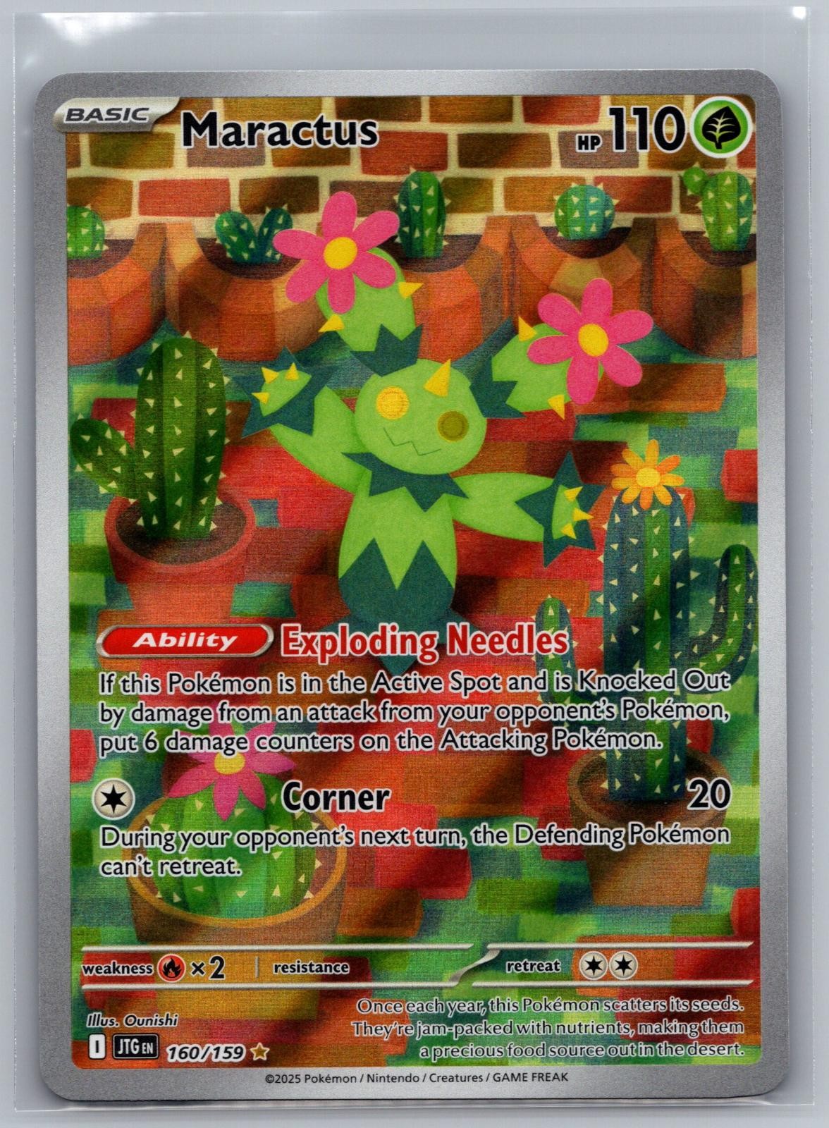 Maractus 160/159 Holo