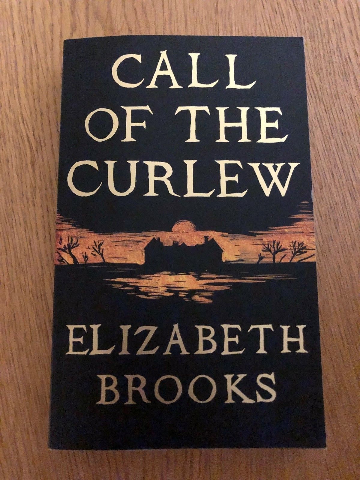 CALL OF THE CURLEW by ELIZABETH BROOKS - P/B - *PROOF*
