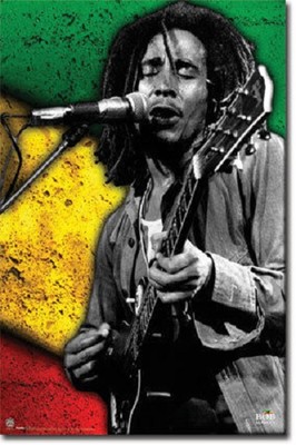 ORIGINAL 2010 BOB MARLEY JAM POSTER FUNKY 5253 22x34 NEW FREE