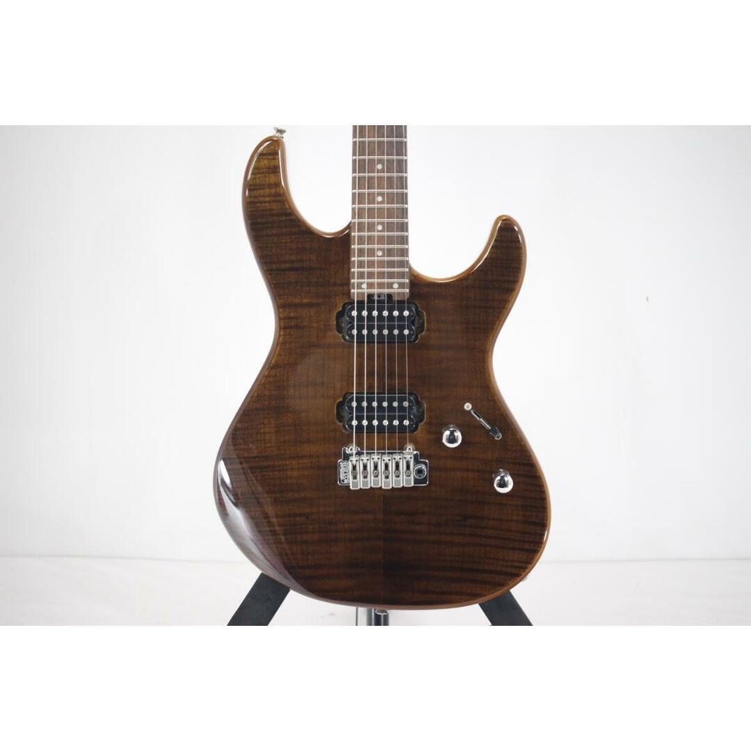 FERNANDES NTG-LTD WALNUT フェルナンデス Electric Guitar Fernandes NTG-LTD Walnut Flame Maple Top S/N