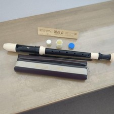 Z Al Recorder Fingering Chart Case