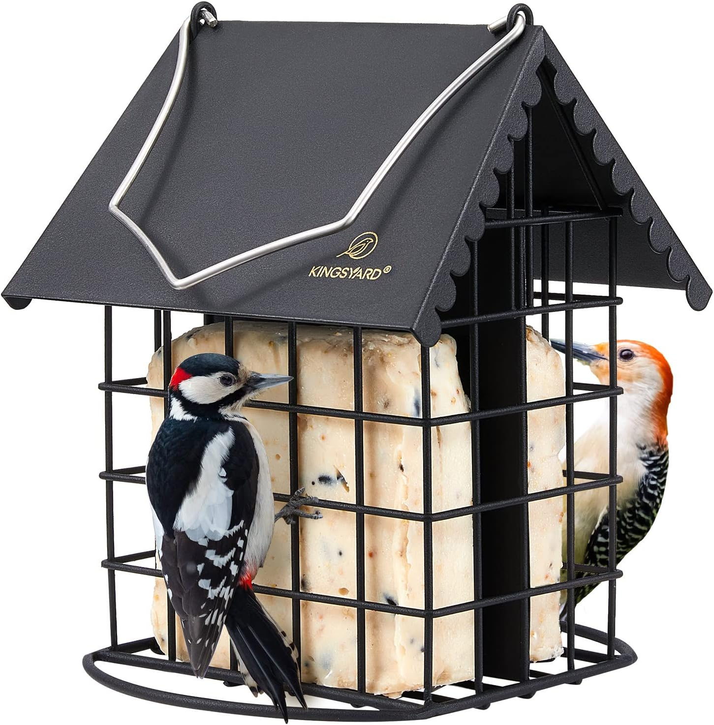 Double Suet Bird Feeder with Weatherproof Roof & Perch, All Metal, Suet Cakes Ca