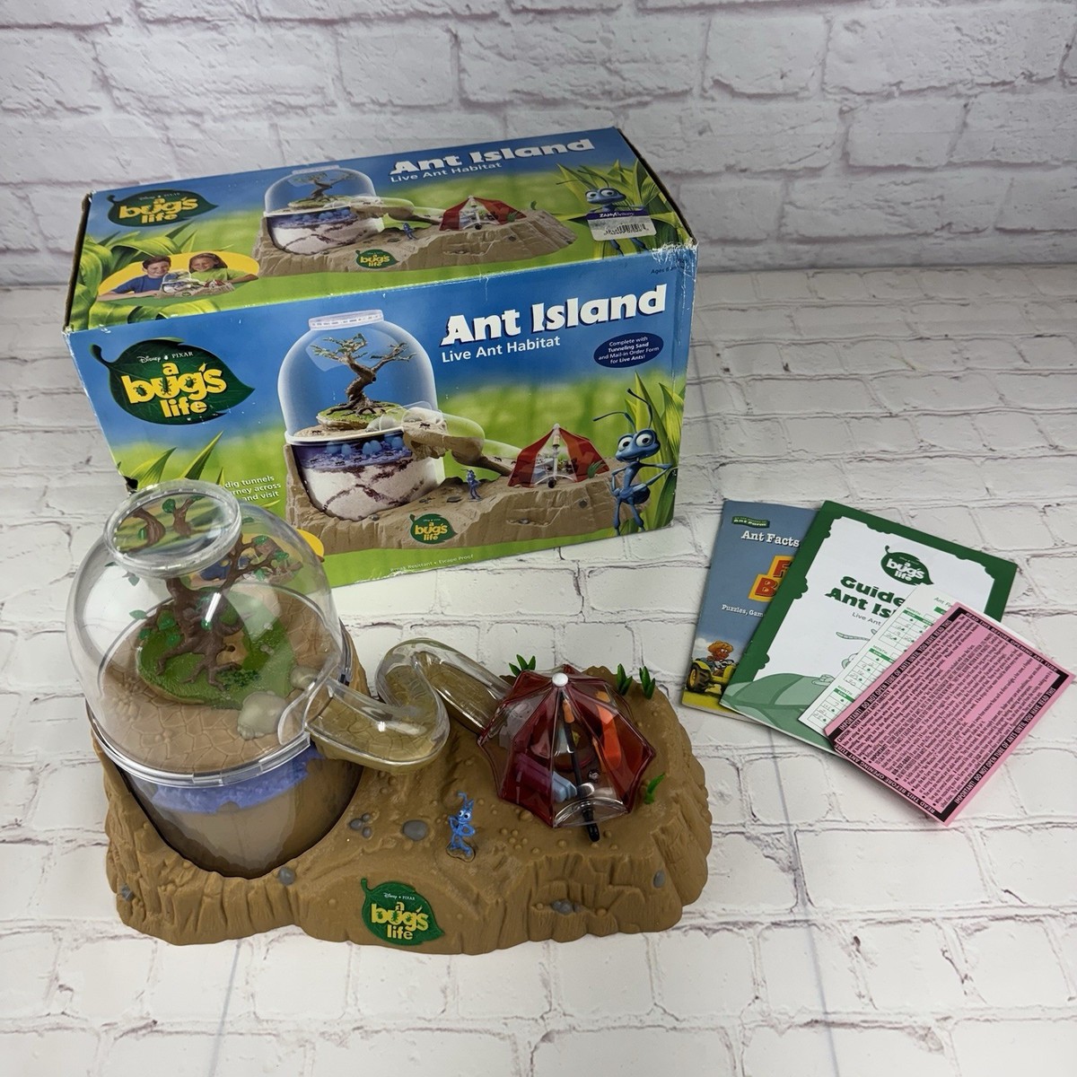 その他 ANTU Little Things in the Rain - Limited insect-lore-ant-mountain-with-