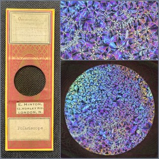 Rare Hinton Paper Covered Antique Microscope Slide of Quinidine Crystals