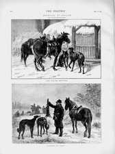Original Old Antique Print 1873 Hare Coursing Poland Hunting Horses Men Sport