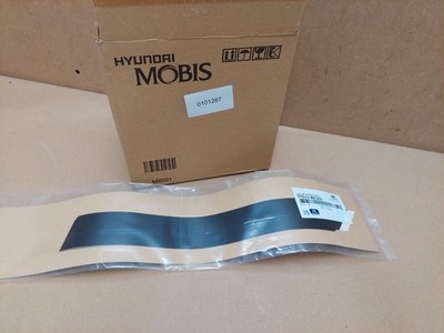 HYUNDAI KONA SX2 Tür hinten links schwarz Band 77513BE000 NEU
