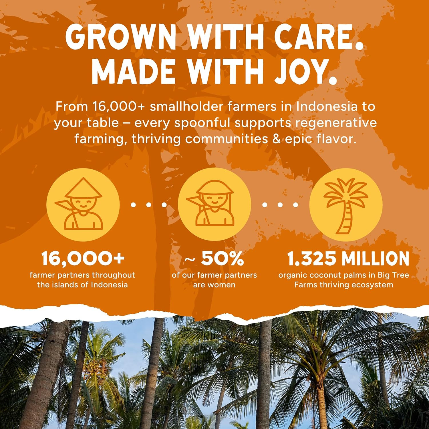 Organic Brown Coconut Sugar - Vegan, Gluten Free, Paleo Sweetener 16oz