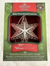 Scentsicles Refillable Silver Metal Star Scented Ornament White Winter Fir Refil